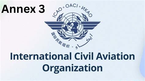 ANNEX 3.